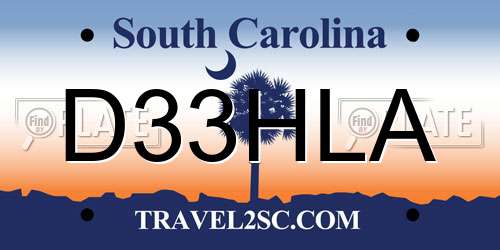 D33HLA South Carolina License Plate