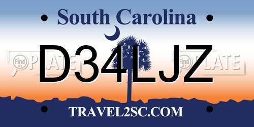 D34LJZ South Carolina License Plate