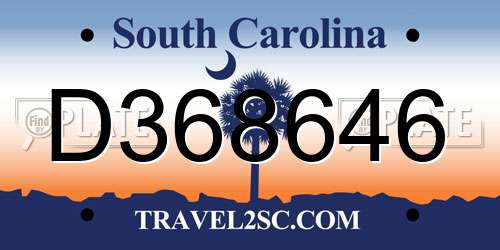 D368646 South Carolina License Plate