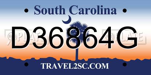 D36864G South Carolina License Plate