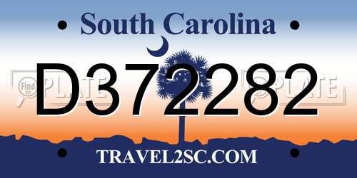 D372282 South Carolina License Plate