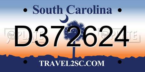 D372624 South Carolina License Plate