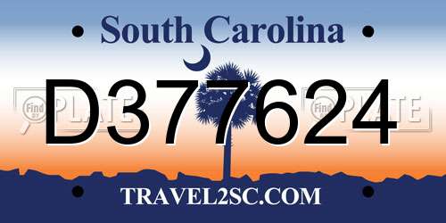 D377624 South Carolina License Plate