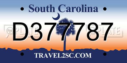 D377787 South Carolina License Plate