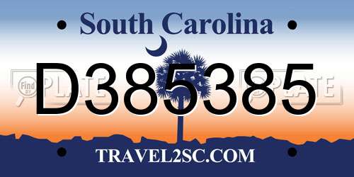 D385385 South Carolina License Plate