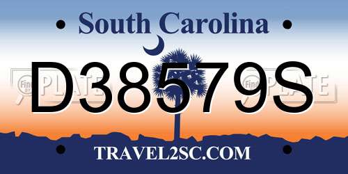 D38579S South Carolina License Plate