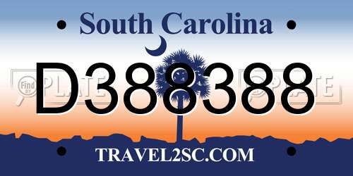 D388388 South Carolina License Plate