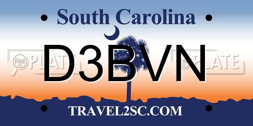 D3BVN South Carolina License Plate