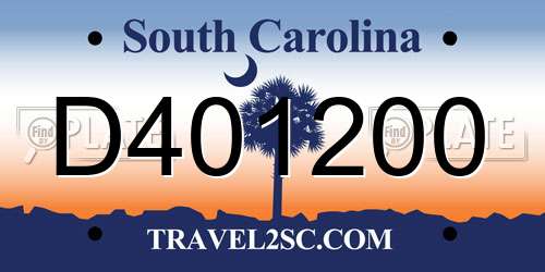 D401200 South Carolina License Plate