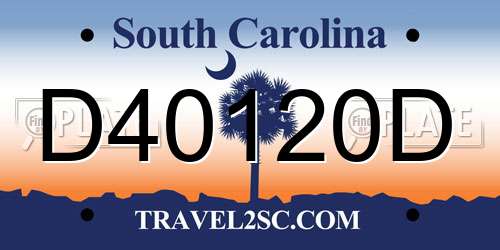 D40120D South Carolina License Plate