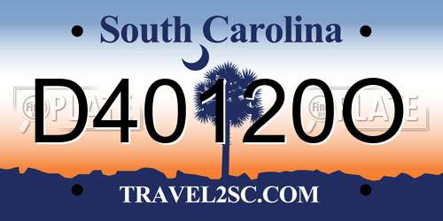 D40120O South Carolina License Plate