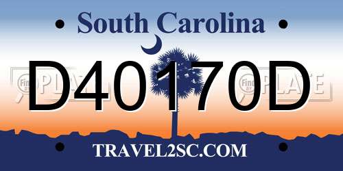 D40170D South Carolina License Plate