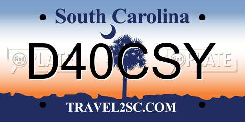D40CSY South Carolina License Plate
