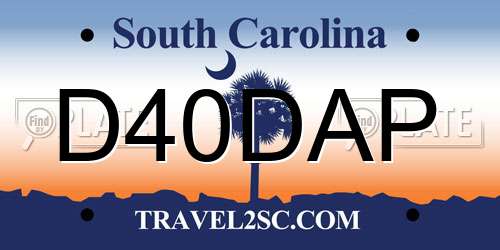 D40DAP South Carolina License Plate