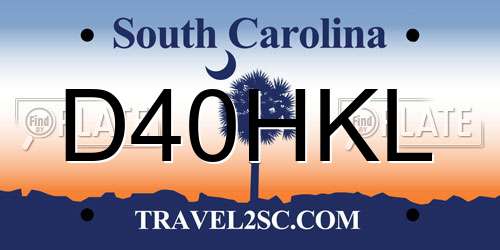D40HKL South Carolina License Plate
