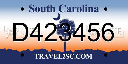 D423456 South Carolina License Plate