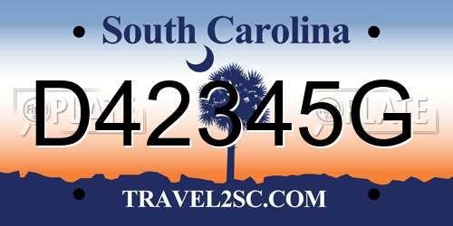 D42345G South Carolina License Plate