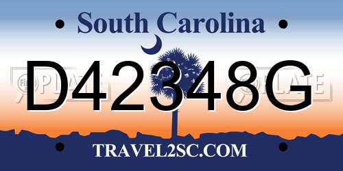 D42348G South Carolina License Plate