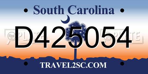 D425054 South Carolina License Plate