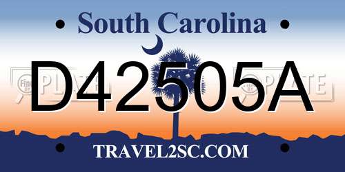 D42505A South Carolina License Plate