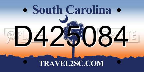 D425084 South Carolina License Plate