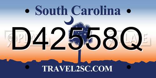 D42558Q South Carolina License Plate