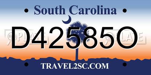 D42585O South Carolina License Plate