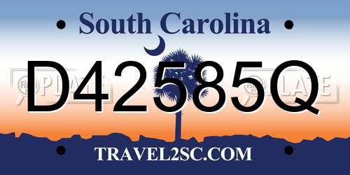 D42585Q South Carolina License Plate