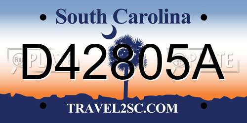 D42805A South Carolina License Plate