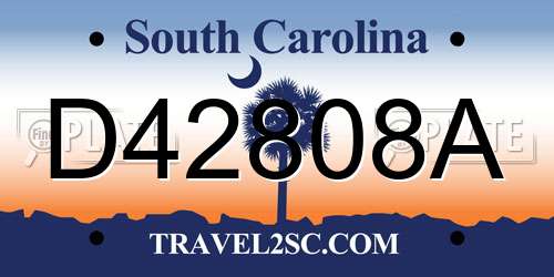 D42808A South Carolina License Plate