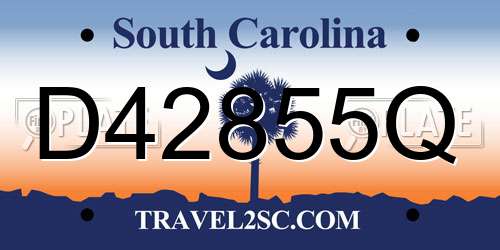 D42855Q South Carolina License Plate