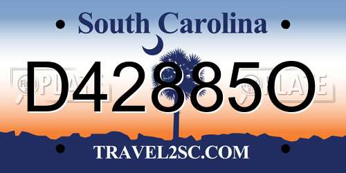 D42885O South Carolina License Plate