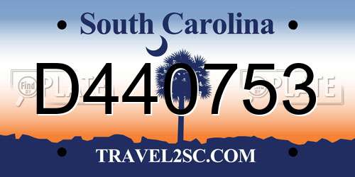 D440753 South Carolina License Plate
