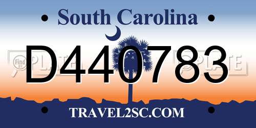 D440783 South Carolina License Plate