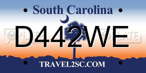 D442WE South Carolina License Plate