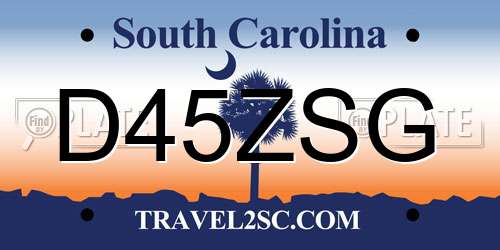 D45ZSG South Carolina License Plate