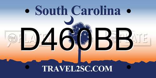 D460BB South Carolina License Plate