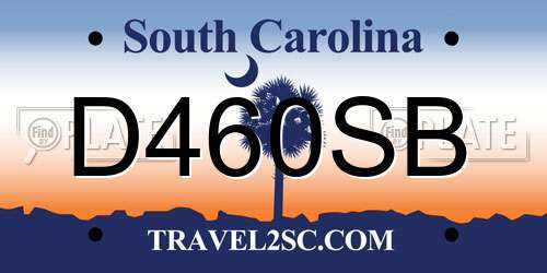 D460SB South Carolina License Plate