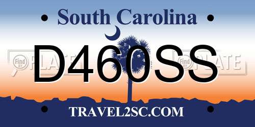 D460SS South Carolina License Plate