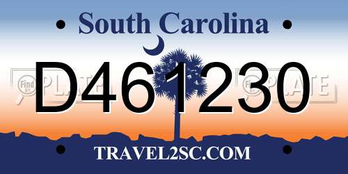 D461230 South Carolina License Plate