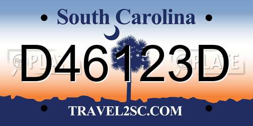 D46123D South Carolina License Plate