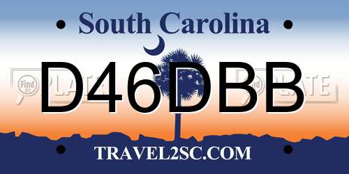 D46DBB South Carolina License Plate