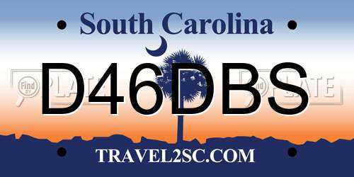 D46DBS South Carolina License Plate