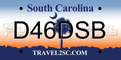 D46DSB South Carolina License Plate