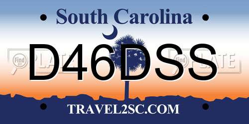 D46DSS South Carolina License Plate