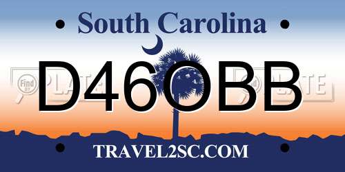 D46OBB South Carolina License Plate