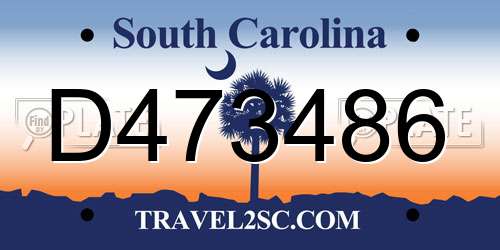 D473486 South Carolina License Plate