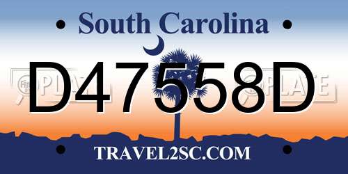 D47558D South Carolina License Plate