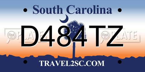 D484TZ South Carolina License Plate