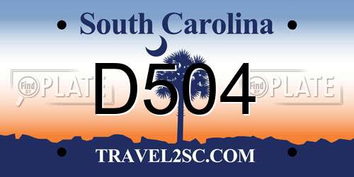 D504 South Carolina License Plate